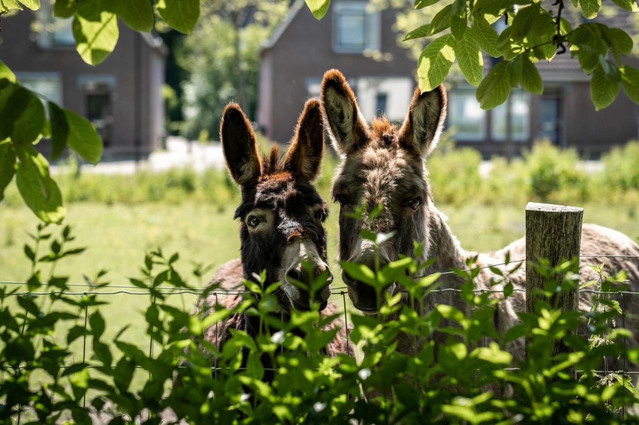 Het Weeshuis ボルスヴァルト エクステリア 写真
